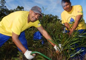Fire and invasive plant management highlighted